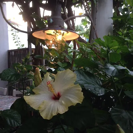 Bed & Breakfast La Lampara