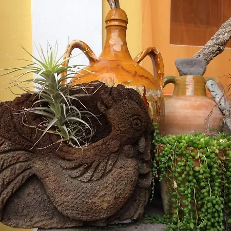 Bed & Breakfast La Lampara Stromboli